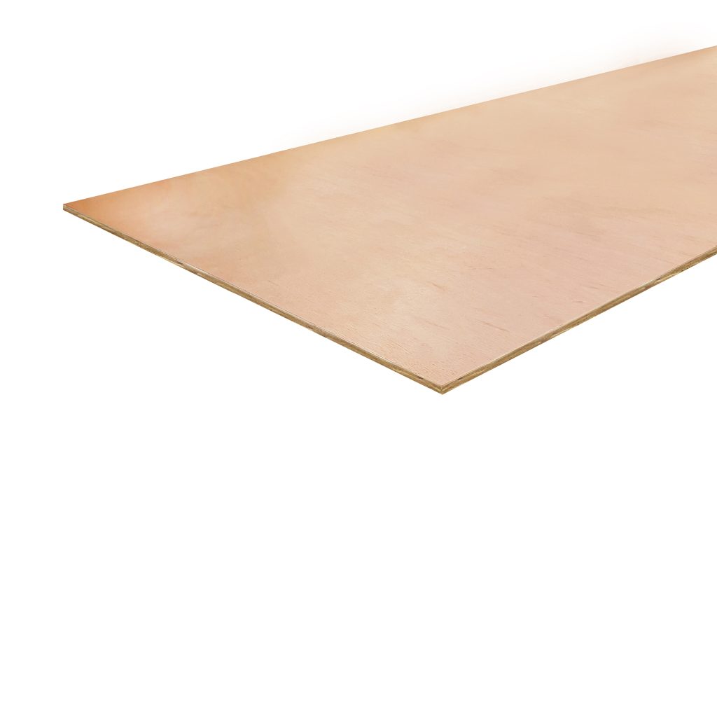 PLY08